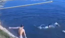 溺水视频,揭秘溺水事故现场